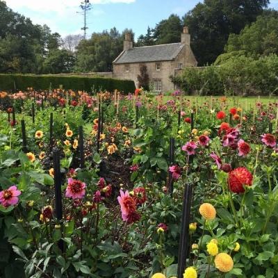 AG直装官方下载截图