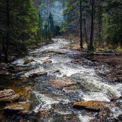 管家婆一码一肖资料下载手机版